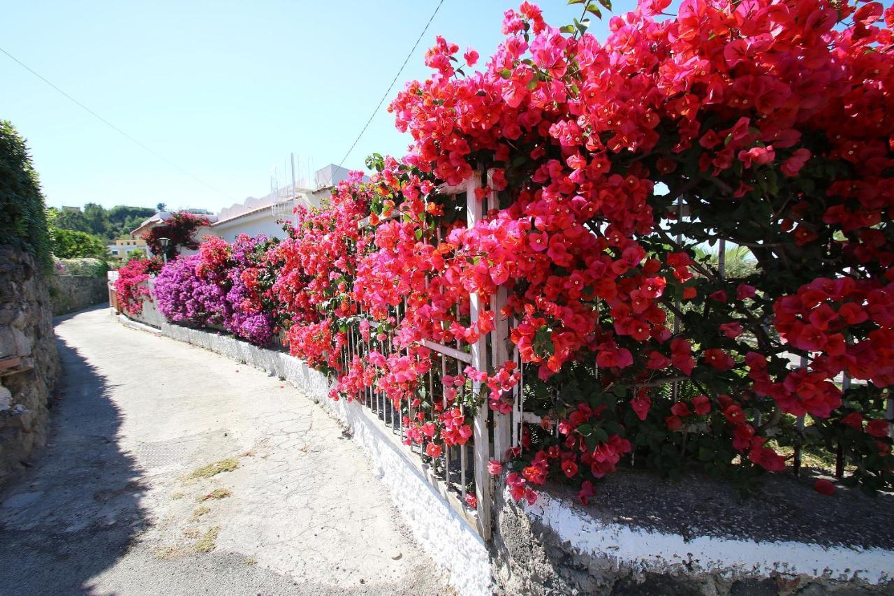 Lacco Terrace Solarium Lacco Ameno (Isola d'Ischia) Exterior foto