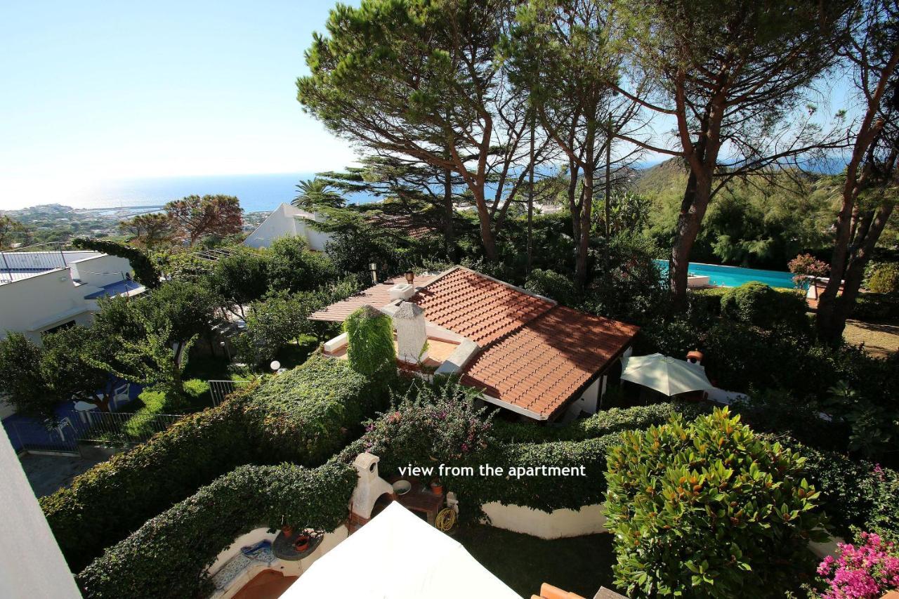 Lacco Terrace Solarium Lacco Ameno (Isola d'Ischia) Exterior foto
